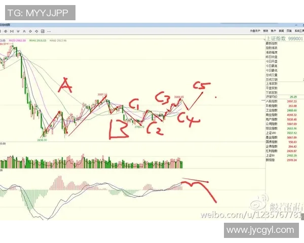 杭州网球队防守策略深度分析与战术解读 杭州网球队防守策略深度分析与战术解读