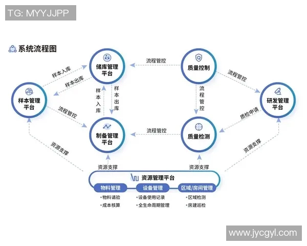 杭州网球队进攻革新之路探索与实践全景解析 杭州网球队进攻革新之路探索与实践全景解析