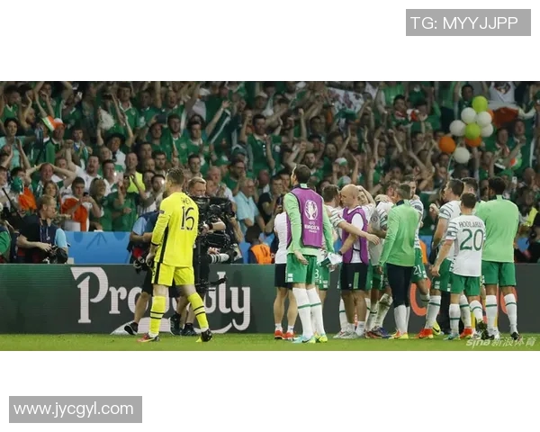 瑞士U19青年队迎战爱尔兰队争夺欧洲足球锦标赛资格