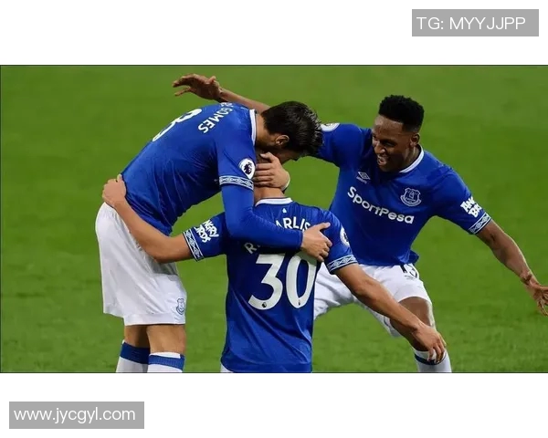 2019年英超精彩对决埃弗顿主场迎战莱斯特城全场回顾与分析